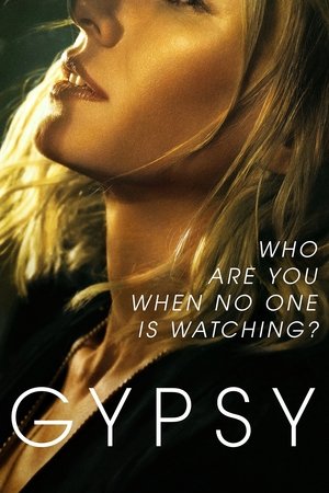 Gypsy: 1×5